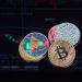 1400 + companies based in UAE within crypto currency sector