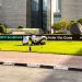 The Rise of Investments and Fund Management Firms in Dubai