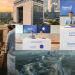 Unlocking a Digital Transformation: UAE Tech Leaders Spearhead Innovation