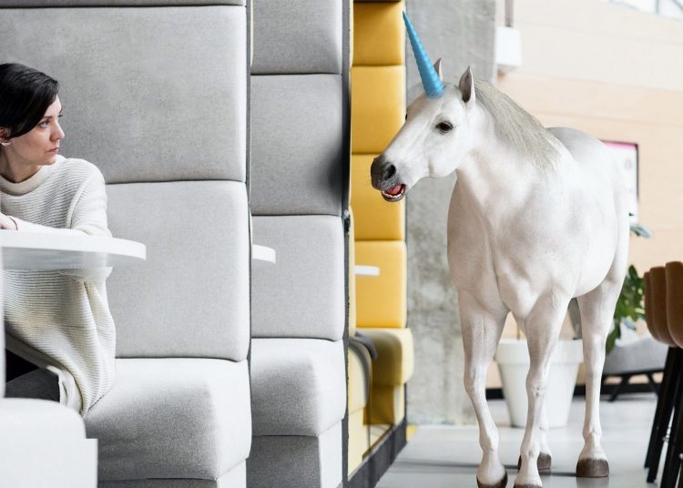 Dreaming Big and Making it Happen