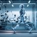 Do We Need Humanoids? Rethinking the Role of Human-Like Machines in Society