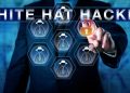 Do We Need White Hat Hackers?