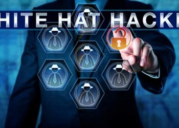 Do We Need White Hat Hackers?