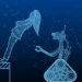 In Humans We Trust — or in AI We Trust?