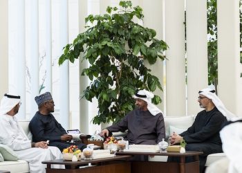 Dangote Unveils Vision 2030 To UAE President, Deepens Strategic Investment Engagement
