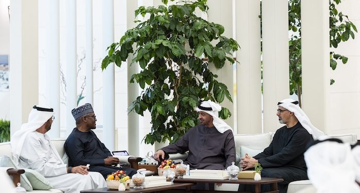 Dangote Unveils Vision 2030 To UAE President, Deepens Strategic Investment Engagement