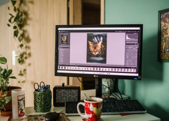 Photo by Helena Jankovičová Kováčová on Pexels