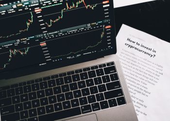 BingX multi-asset trading platform