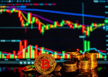 altcoin surpass Bitcoin market value